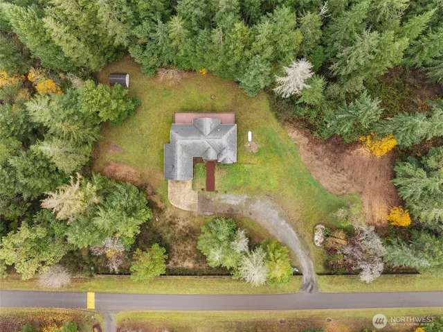 a view of a forest with a lake