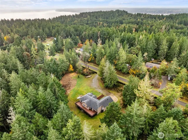 a view of a city with lush green forest