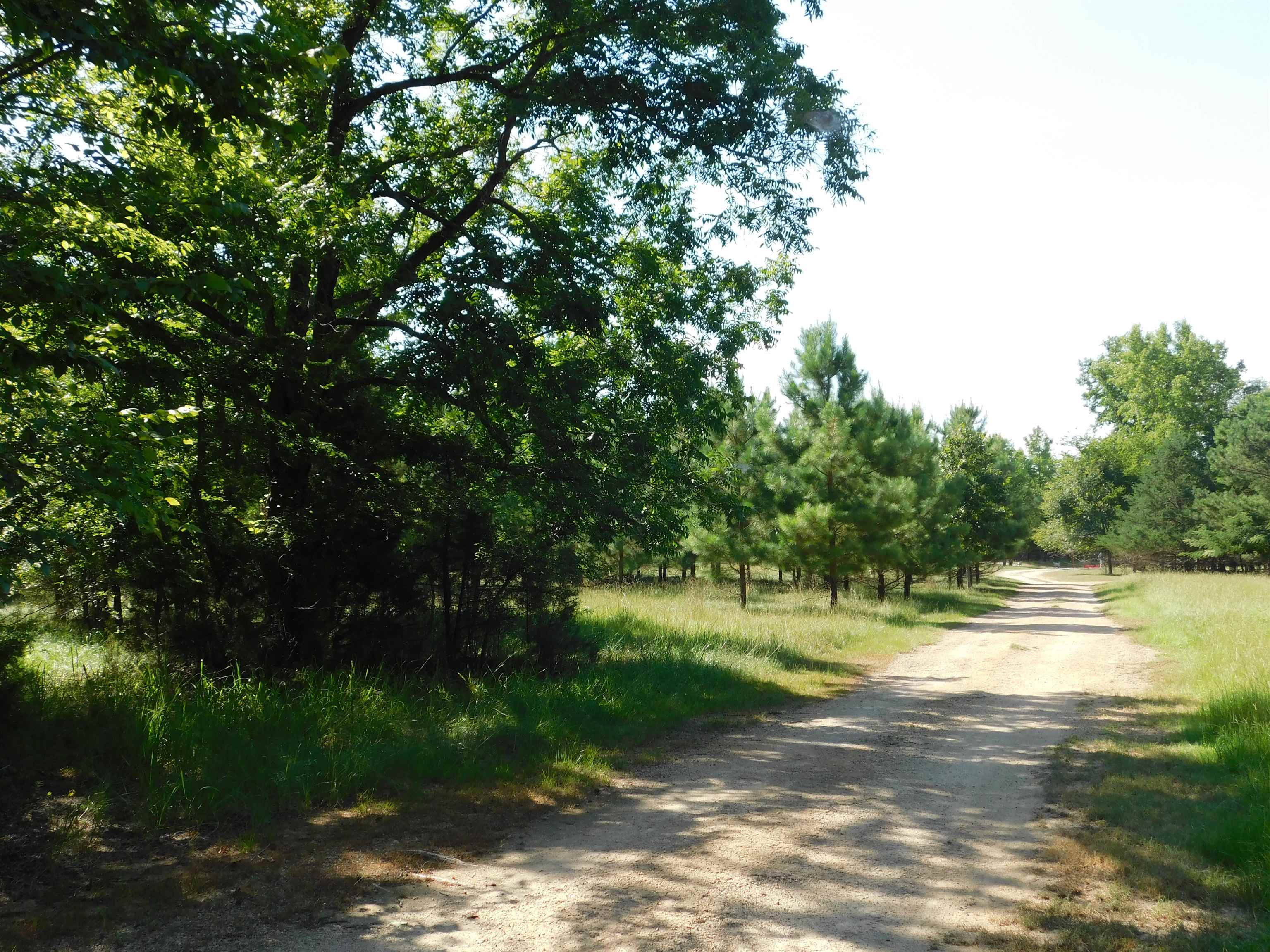 3030 Rabbit Road Gilmer, TX 75644 - Photo 5 of 31 Gallery Image 5