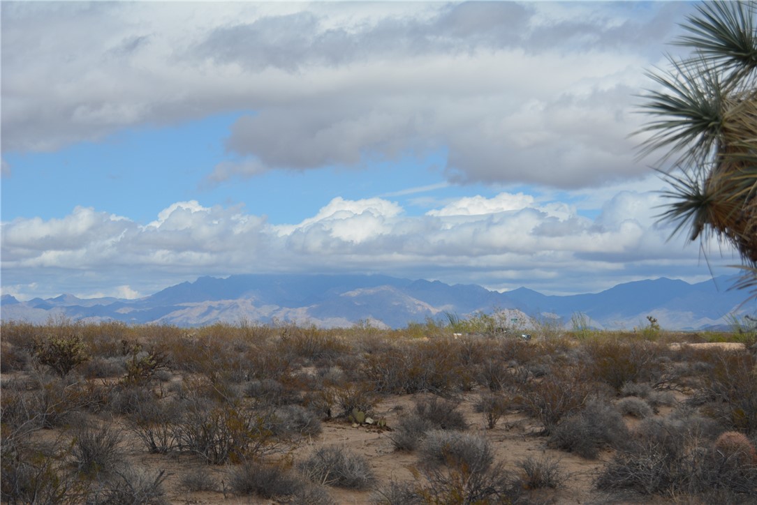 207-35-005 South Arlington Road Yucca, AZ 86438 - Photo 40 of 92