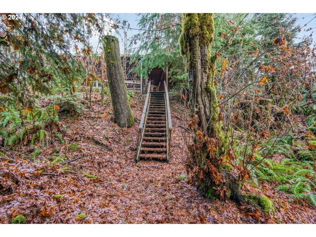 a view of a garden with stairs