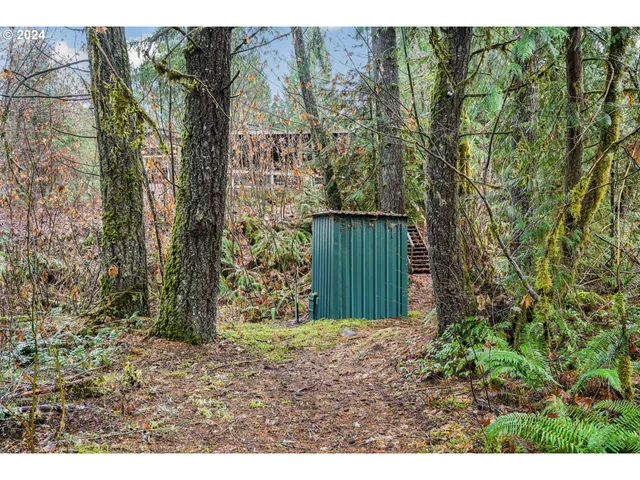 a view of outdoor space and trees