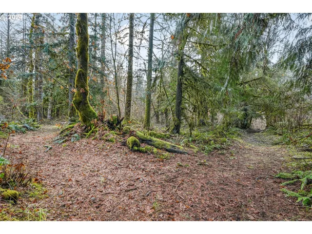 a view of outdoor space with trees