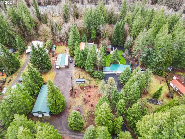 an aerial view of a house with a yard and large trees