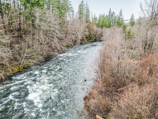 a view of a yard with trees and bushes