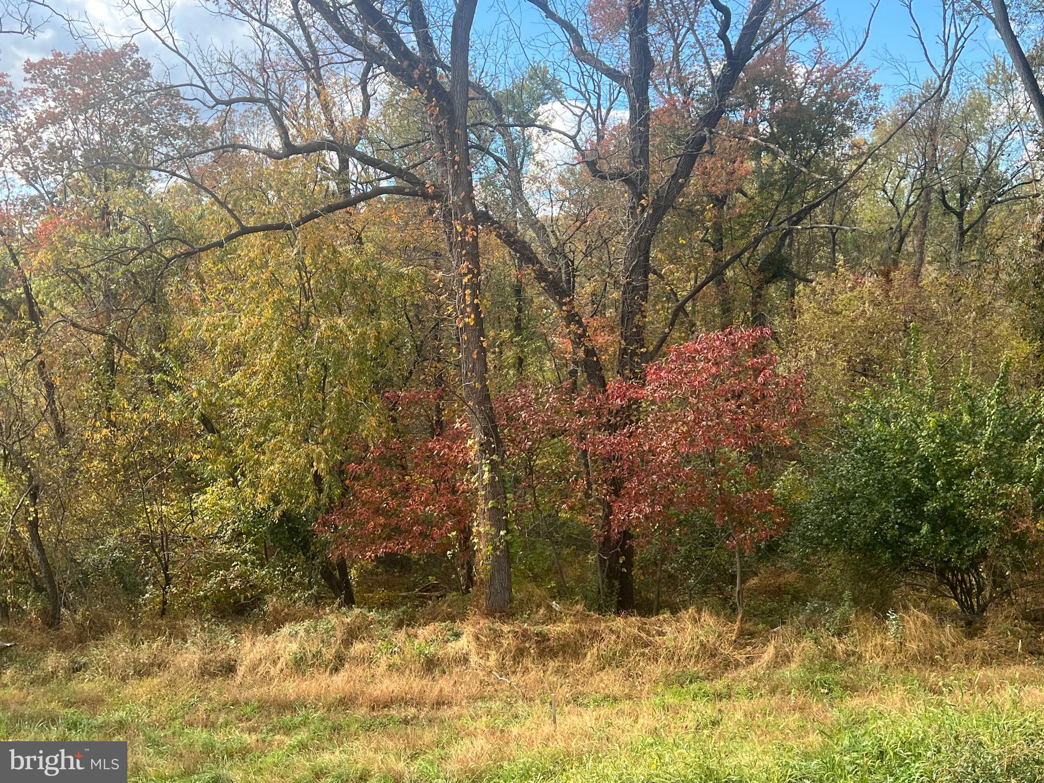 179 Ellicott Road Avondale, PA 19311 - Photo 52 of 56 a view of a yard covered with snow in front of house