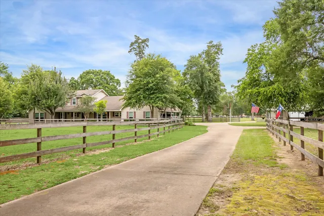a view of a park with large trees