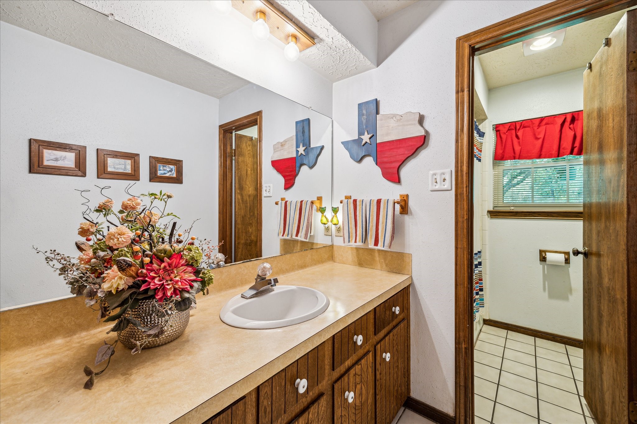 17814 Seidel Cemetary Road Tomball, TX 77377 - Photo 20 of 30 a bathroom with a sink vanity and a mirror