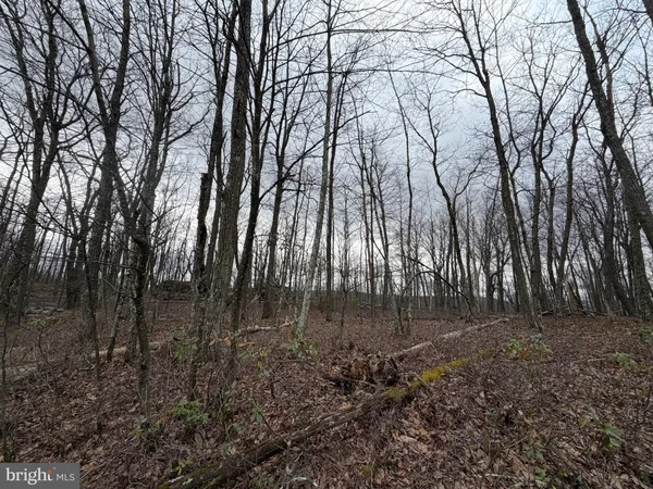 $5,000 | Lot 287.2 Spring Mountain Drive, Zion Grove, PA 17985