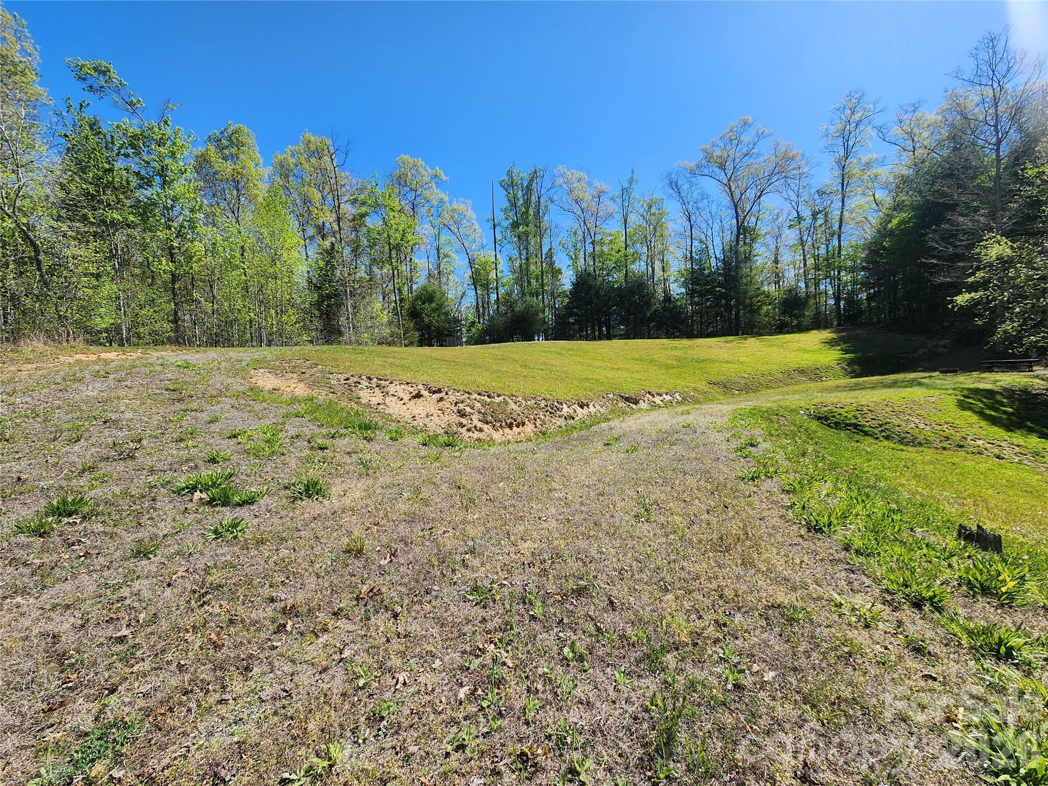 889 Firefly Trail Marshall, NC 28753 - Photo 20 of 35 a view of a yard with trees