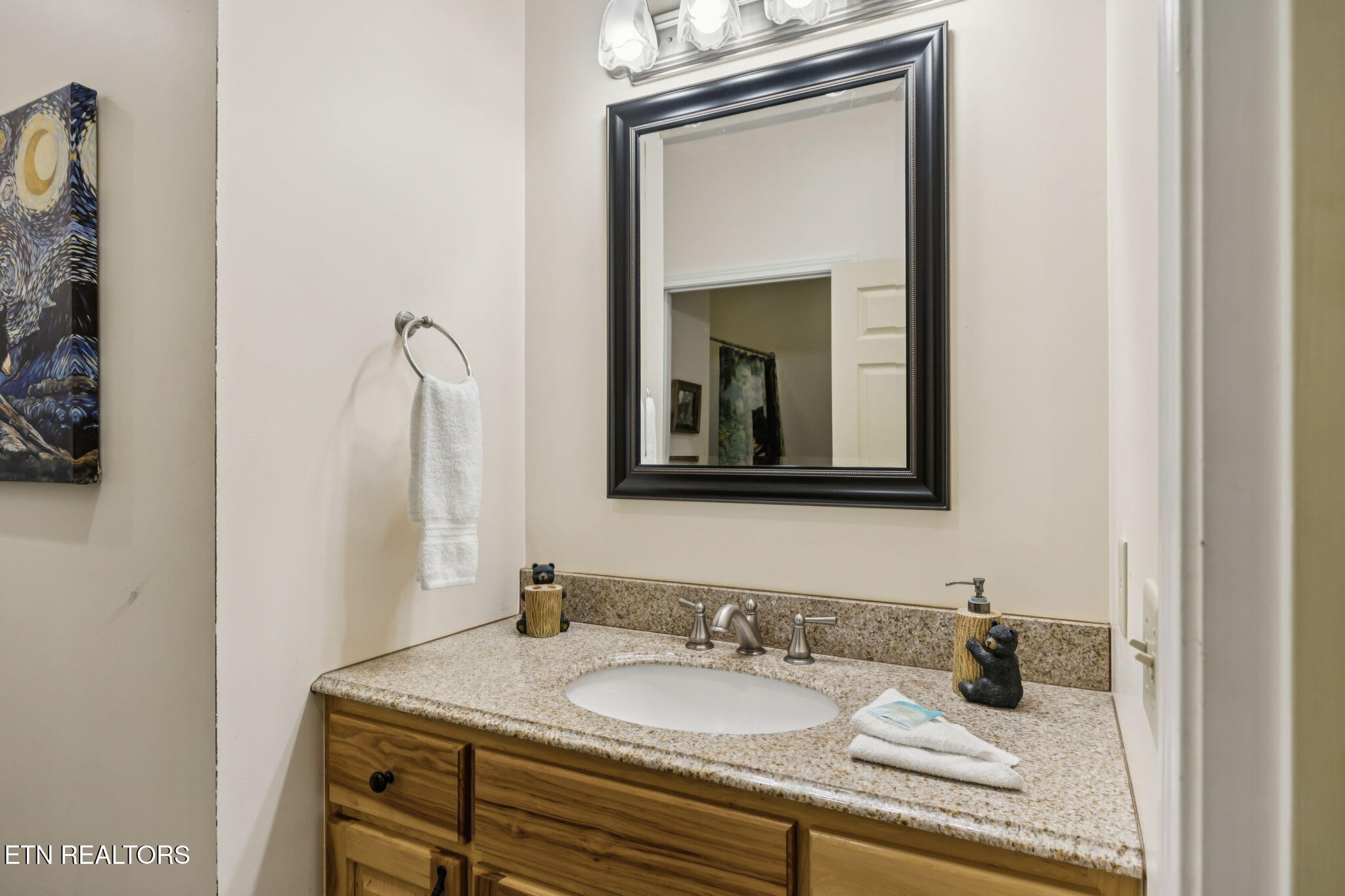 3715 Cinnamon Way Sevierville, TN 37862 - Photo 37 of 59 48-3751 Cinnamon Way - 048