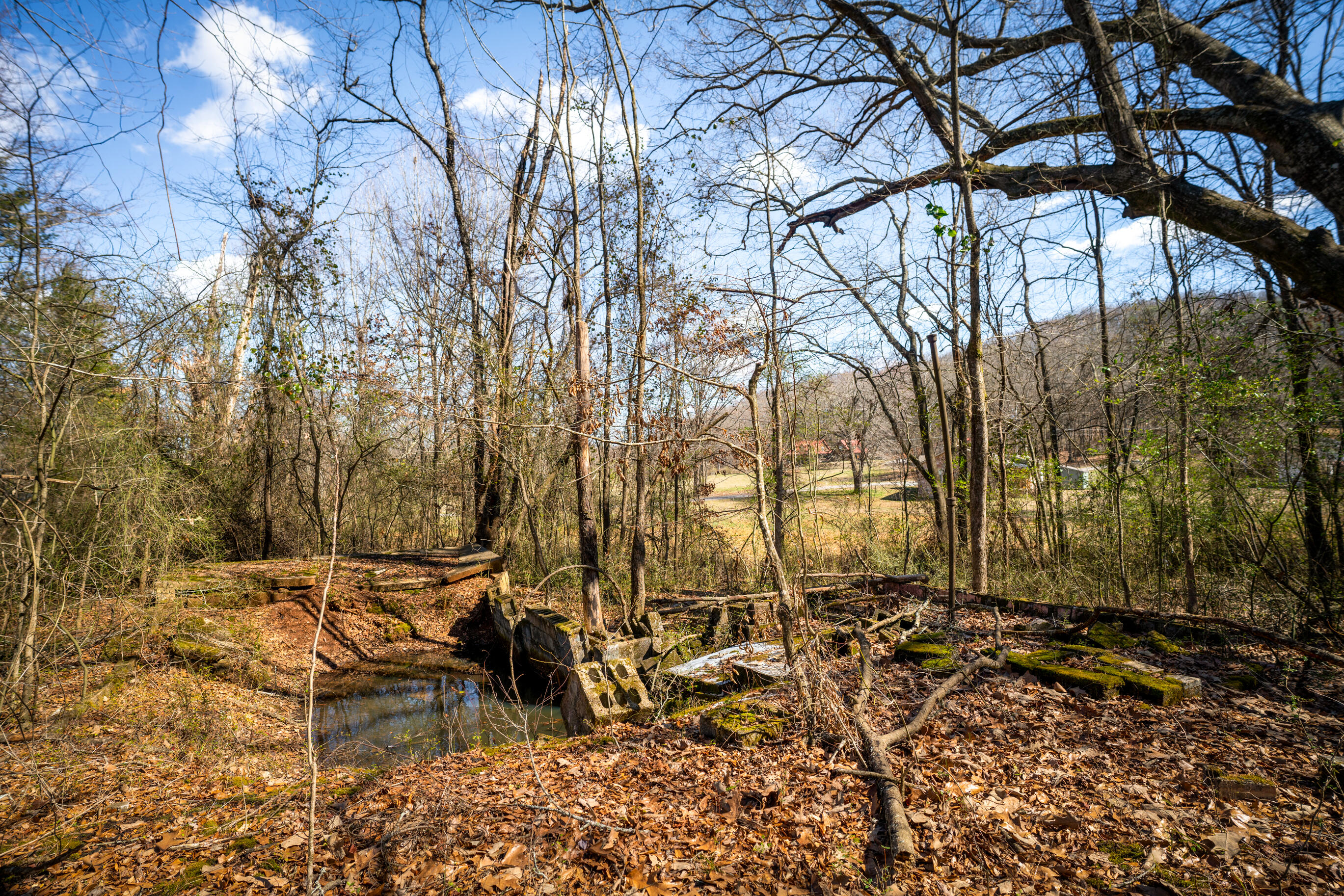 0 Phillips Road, Unit LOTS 1 & 2 Jasper, TN 37347 - Photo 18 of 18 _DSC2994-2-Edit