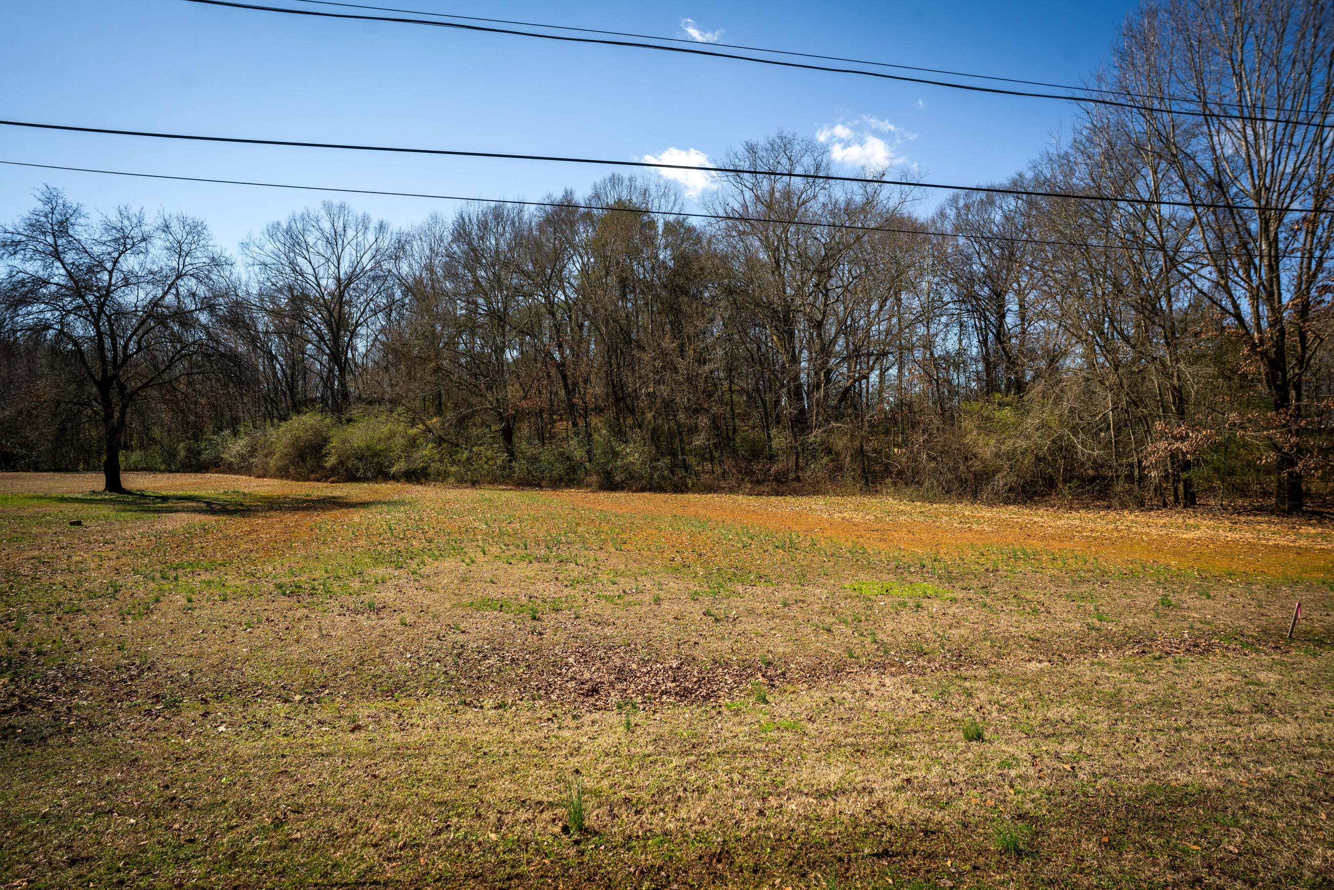 0 Phillips Road, Unit LOTS 1 & 2 Jasper, TN 37347 - Photo 2 of 18 _DSC2982-Edit