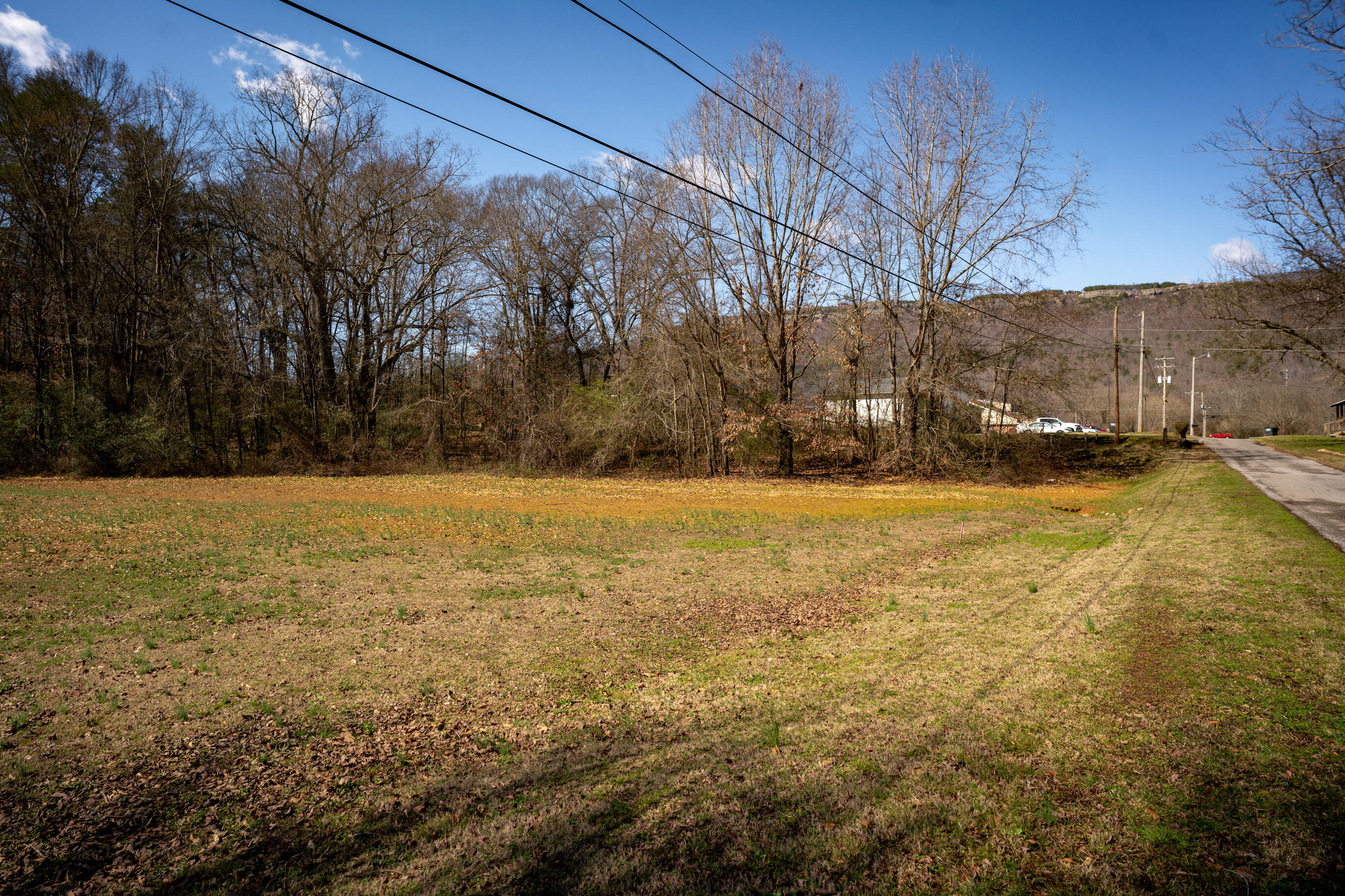 0 Phillips Road, Unit LOTS 1 & 2 Jasper, TN 37347 - Photo 4 of 18 _DSC2985