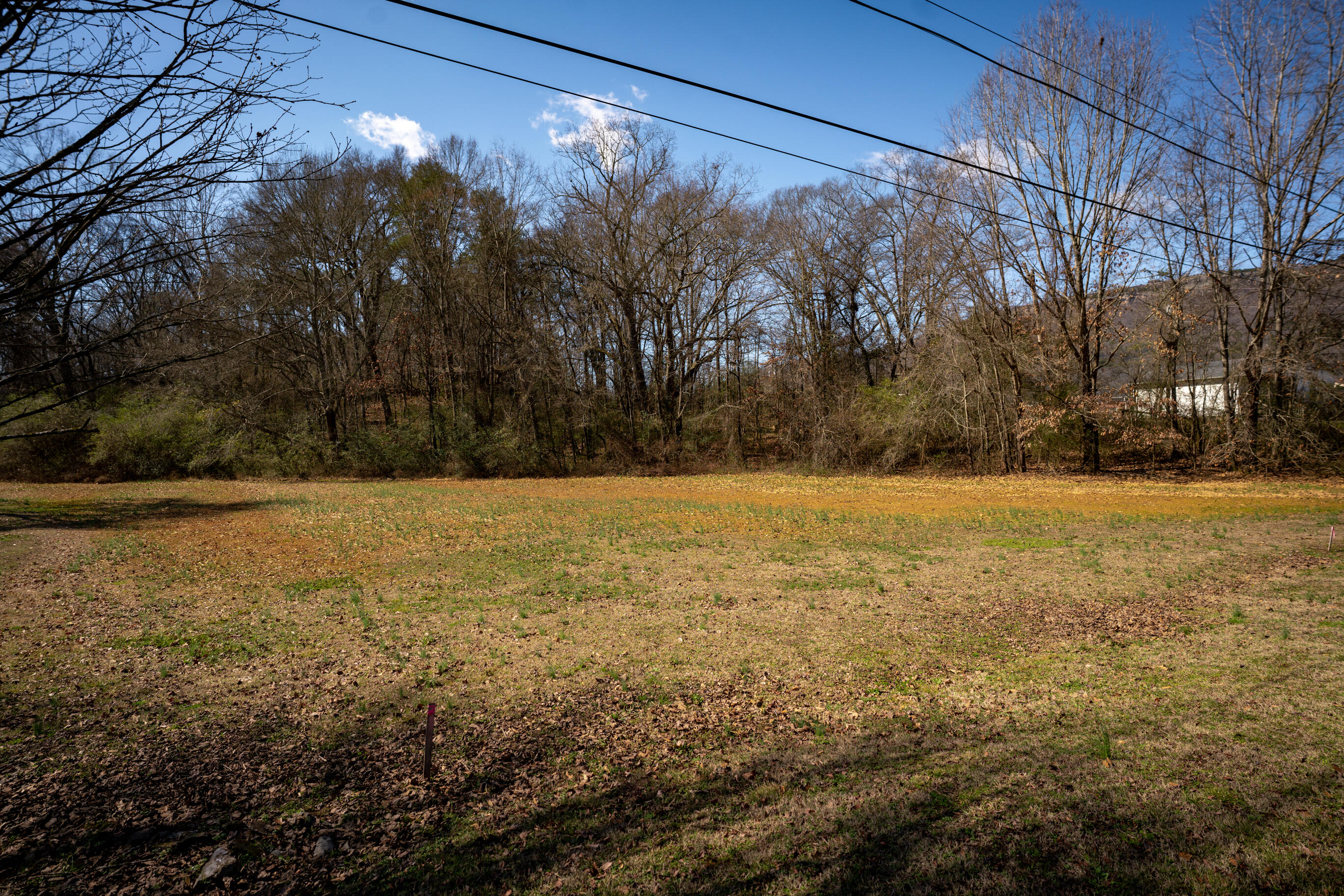 0 Phillips Road, Unit LOTS 1 & 2 Jasper, TN 37347 - Photo 5 of 18 _DSC2986