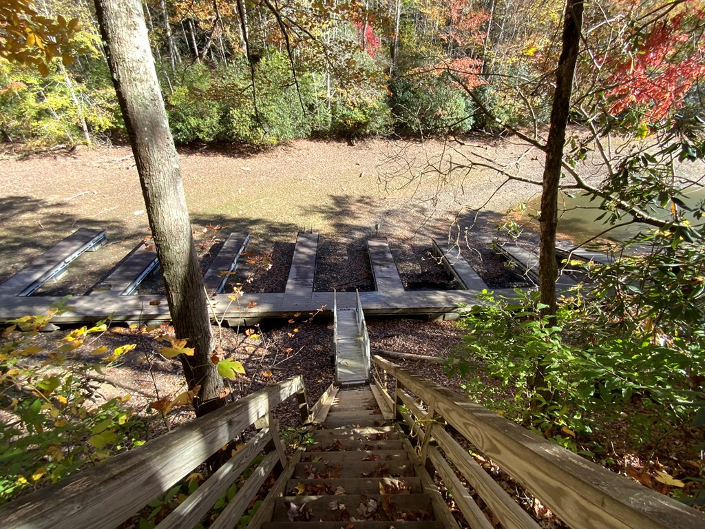0 Little Choga Road Topton, NC 28781 - Photo 2 of 26