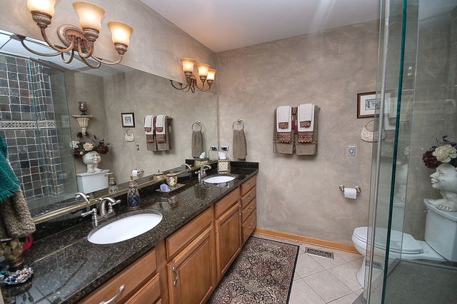 41 West 419 Plato Road Elgin, IL 60124 - Photo 17 of 82