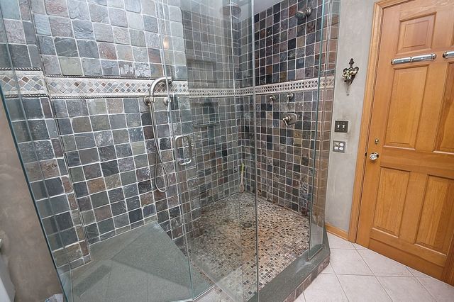 41 West 419 Plato Road Elgin, IL 60124 - Photo 18 of 82