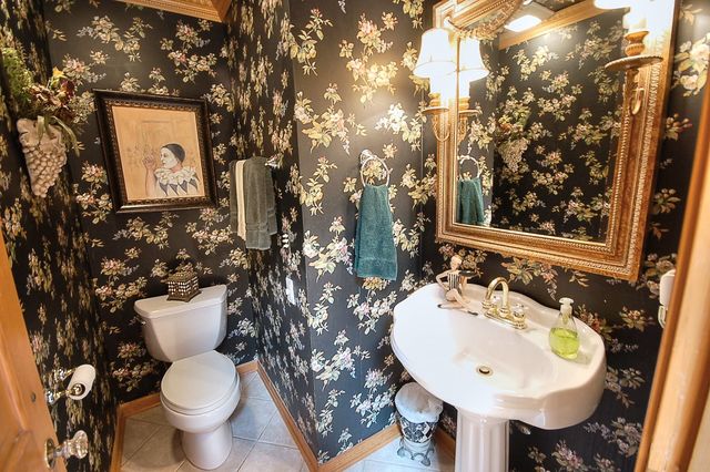 41 West 419 Plato Road Elgin, IL 60124 - Photo 24 of 82