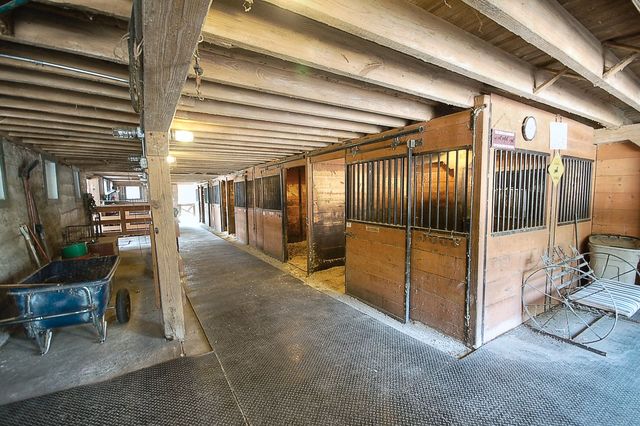 41 West 419 Plato Road Elgin, IL 60124 - Photo 50 of 82