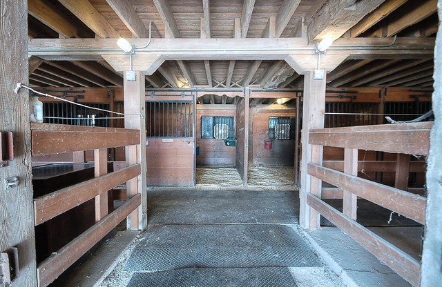 41 West 419 Plato Road Elgin, IL 60124 - Photo 53 of 82