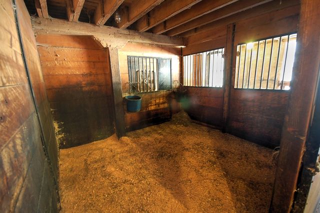 41 West 419 Plato Road Elgin, IL 60124 - Photo 56 of 82