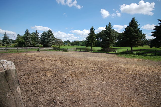 41 West 419 Plato Road Elgin, IL 60124 - Photo 61 of 82