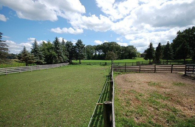 41 West 419 Plato Road Elgin, IL 60124 - Photo 64 of 82