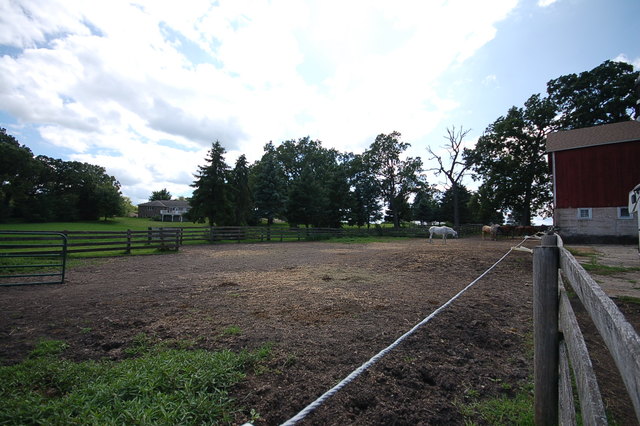 41 West 419 Plato Road Elgin, IL 60124 - Photo 65 of 82