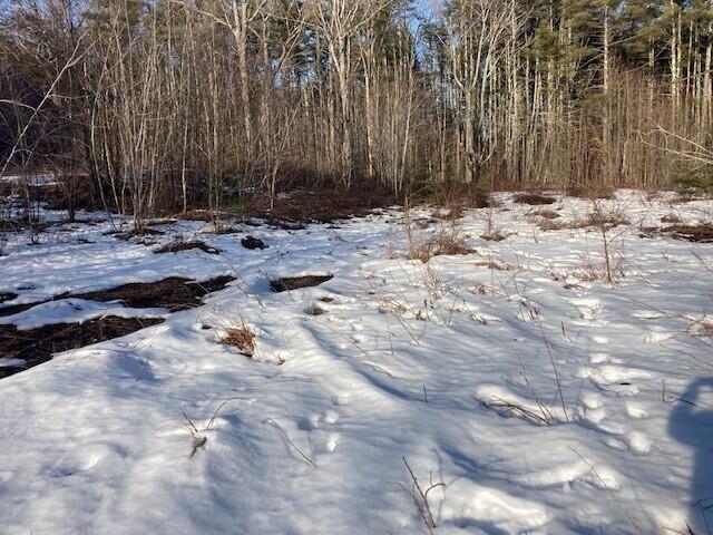 0 Buffum Road North Berwick, ME 03906 - Photo 5 of 10 Pic 9 Buffum