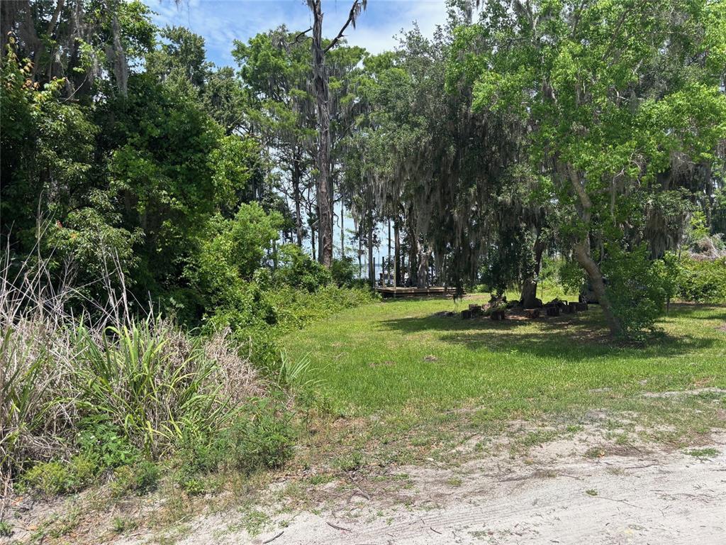 333 Riviera Drive Crescent City, FL 32112 - Photo 21 of 22 a view of a park with trees