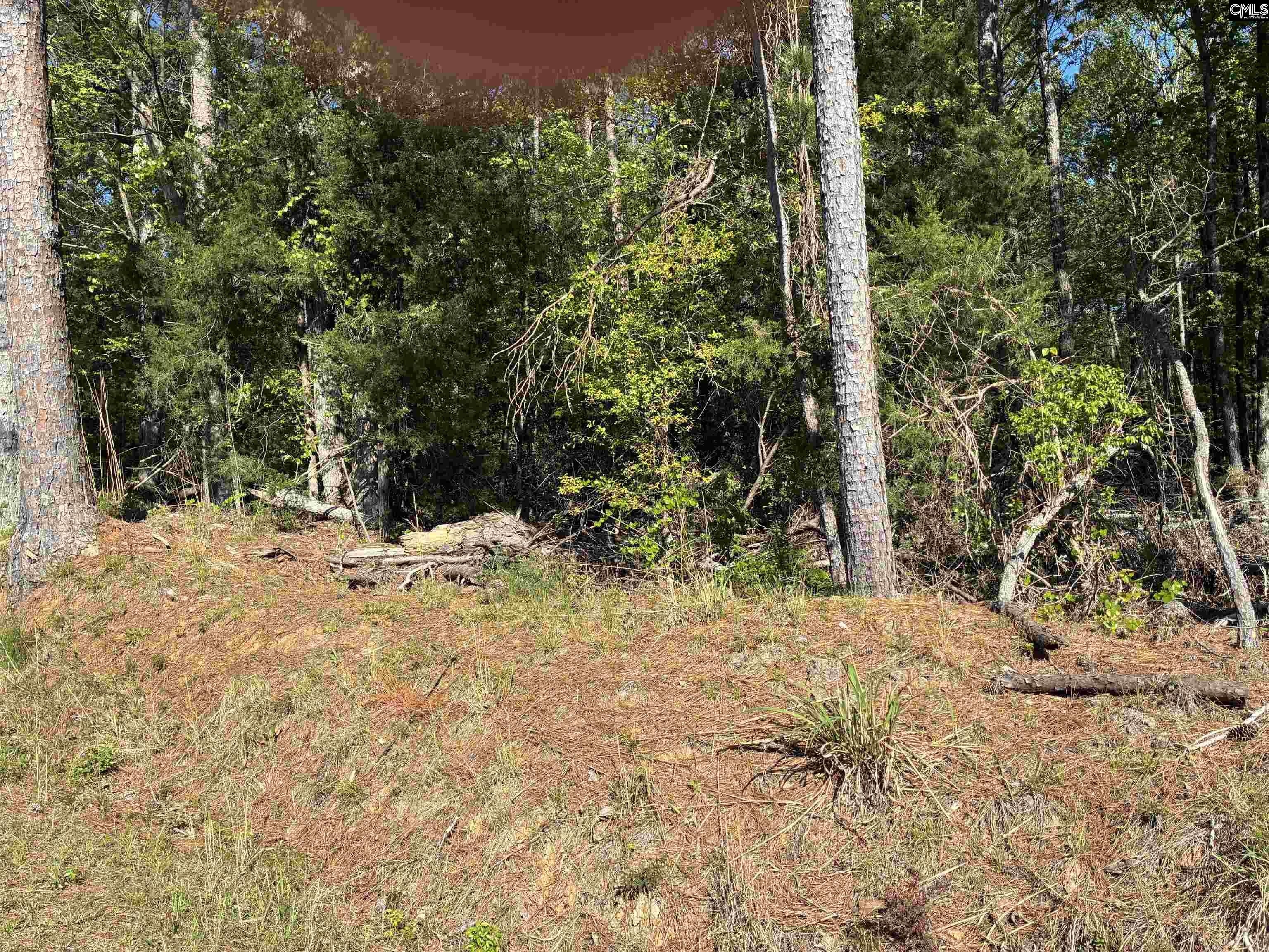 0 Mud Creek Road Newberry, SC 29108 - Photo 10 of 10