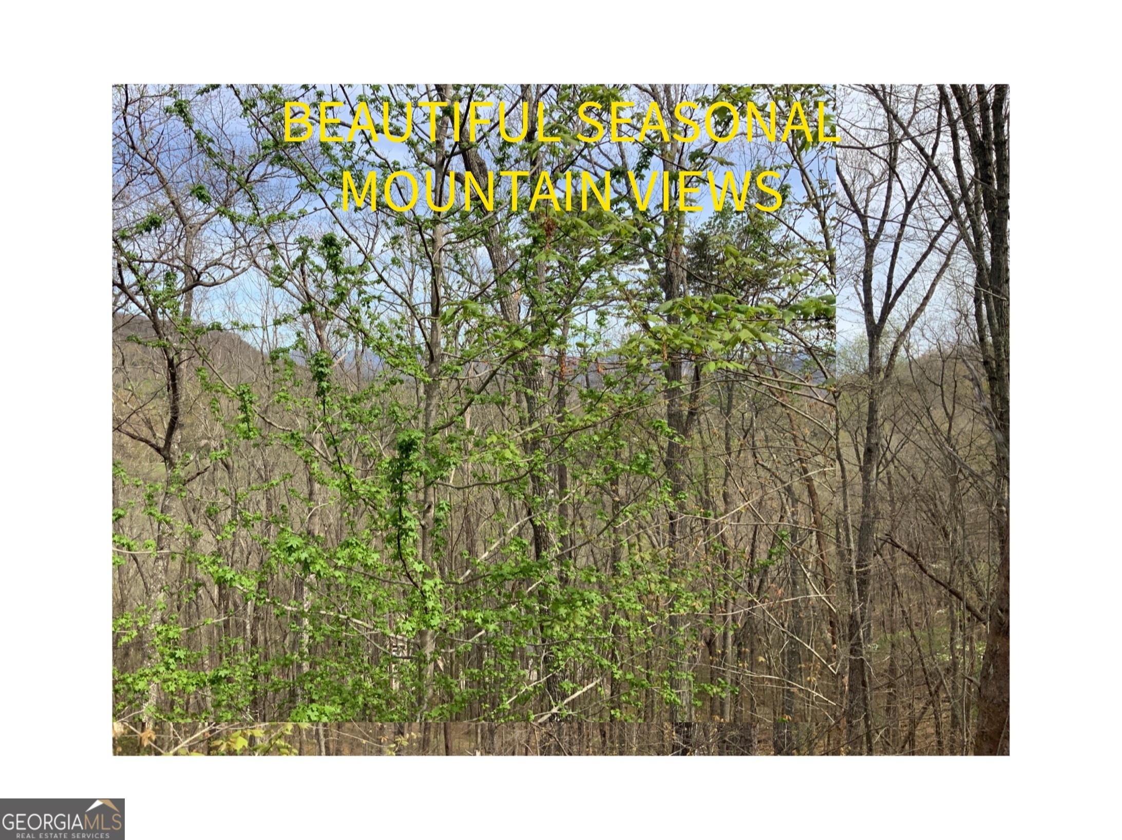 7026 Peebles Road Young Harris, GA 30582 - Photo 2 of 34