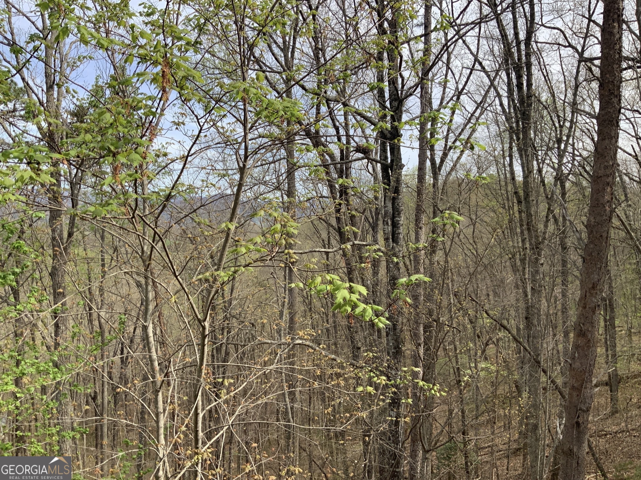 7026 Peebles Road Young Harris, GA 30582 - Photo 27 of 34