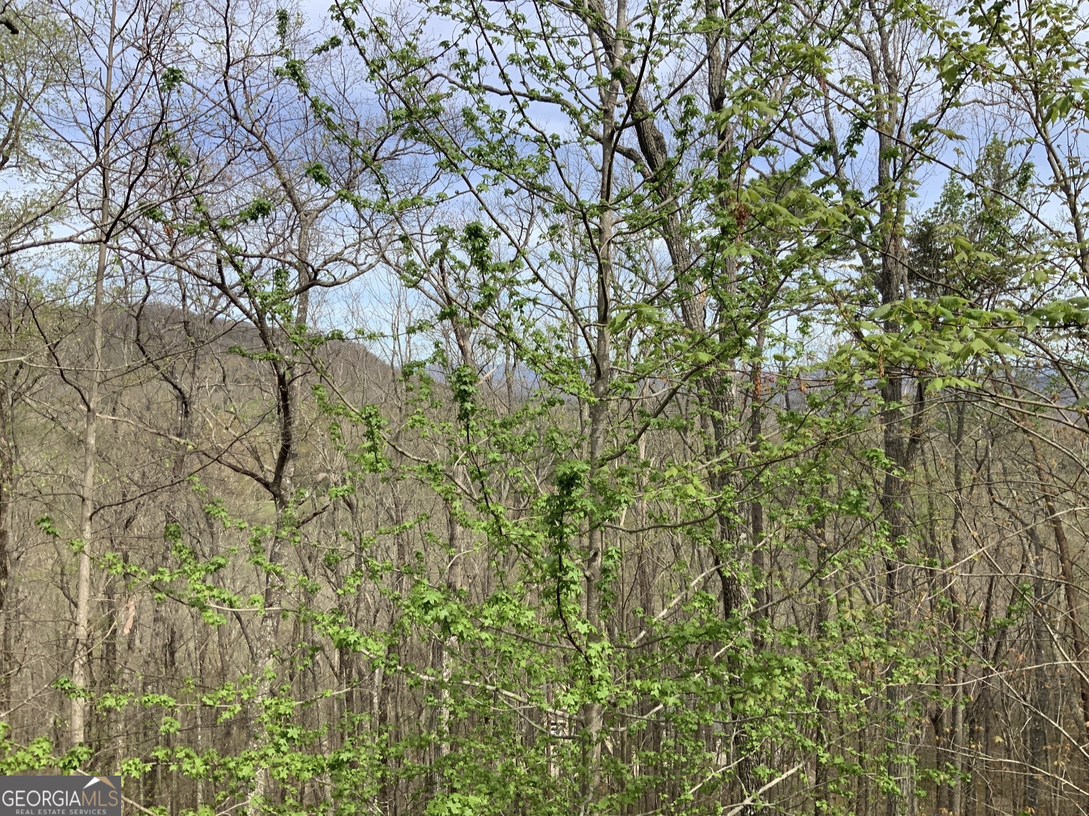 7026 Peebles Road Young Harris, GA 30582 - Photo 28 of 34