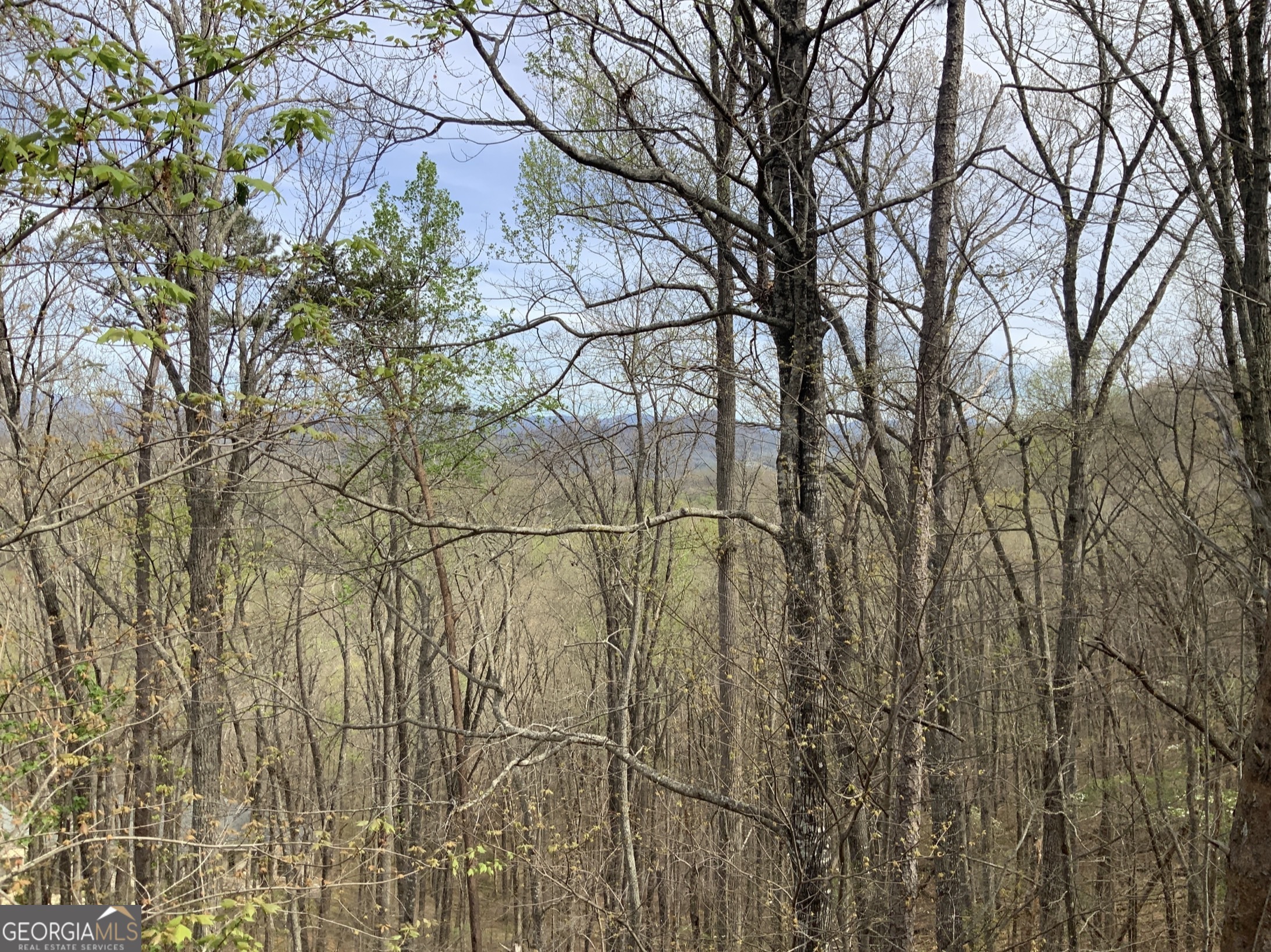 7026 Peebles Road Young Harris, GA 30582 - Photo 29 of 34