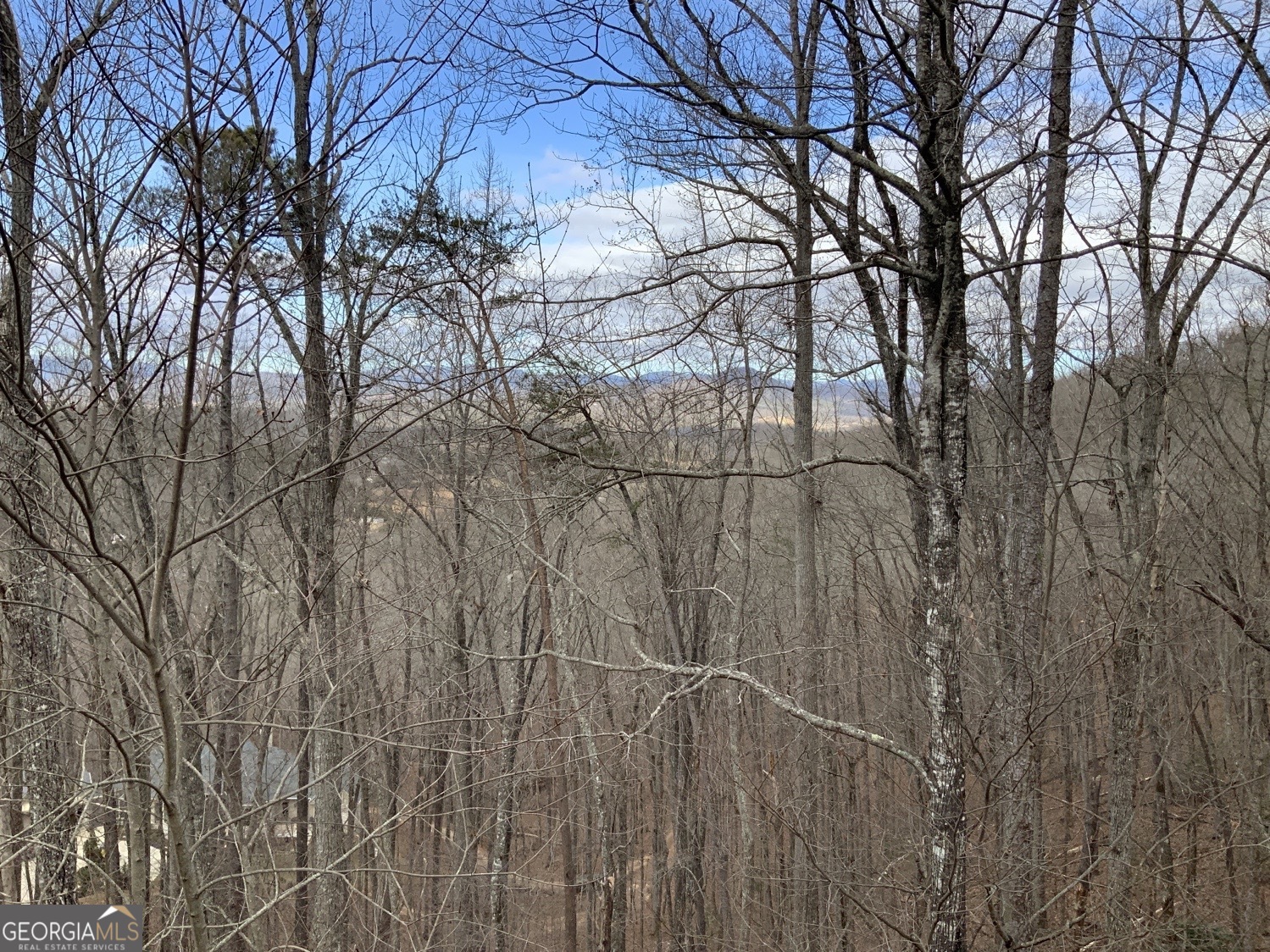 7026 Peebles Road Young Harris, GA 30582 - Photo 30 of 34