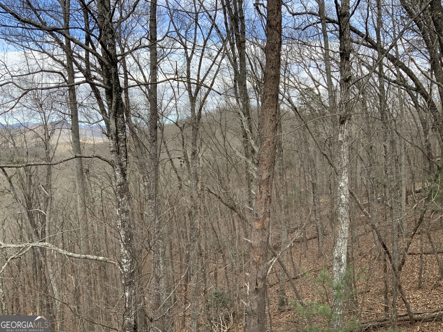 7026 Peebles Road Young Harris, GA 30582 - Photo 32 of 34