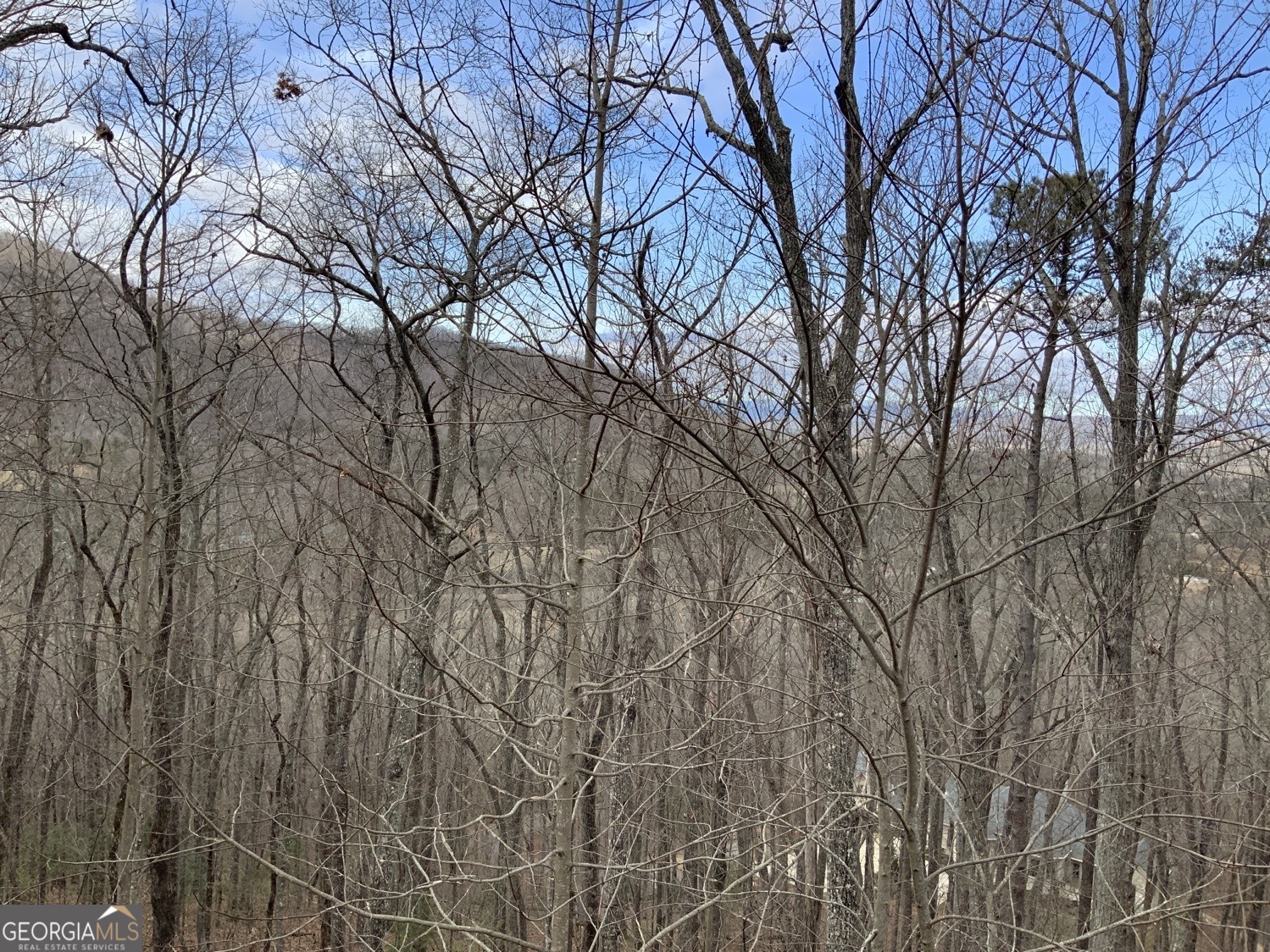 7026 Peebles Road Young Harris, GA 30582 - Photo 33 of 34