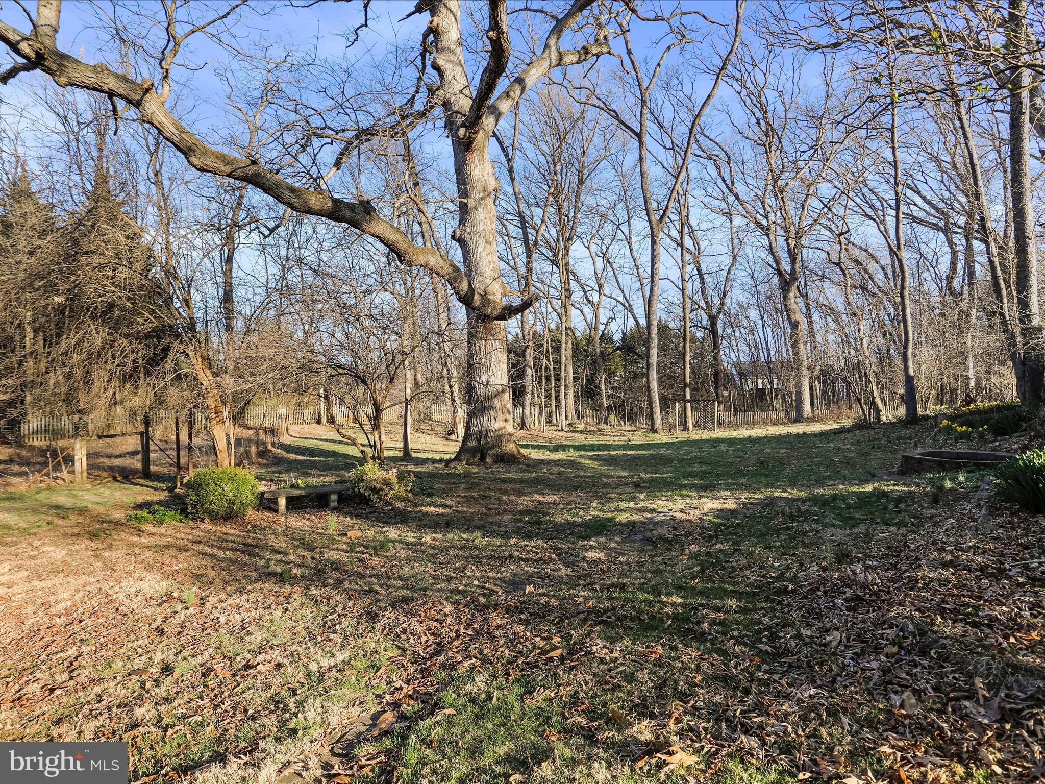 20036 Landis Road Hagerstown, MD 21740 - Photo 16 of 75 Partially wooded 1.29 unrstricted acres.
