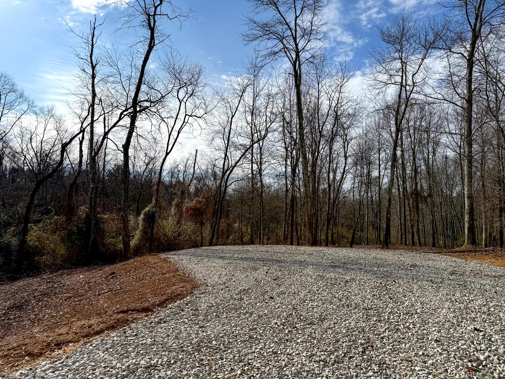 0 Dutch Ridge Road Southeast, Unit WOODS TURKEY RUN TRACT 1) New Lexington, OH 43764 - Photo 4 of 43 CT-4