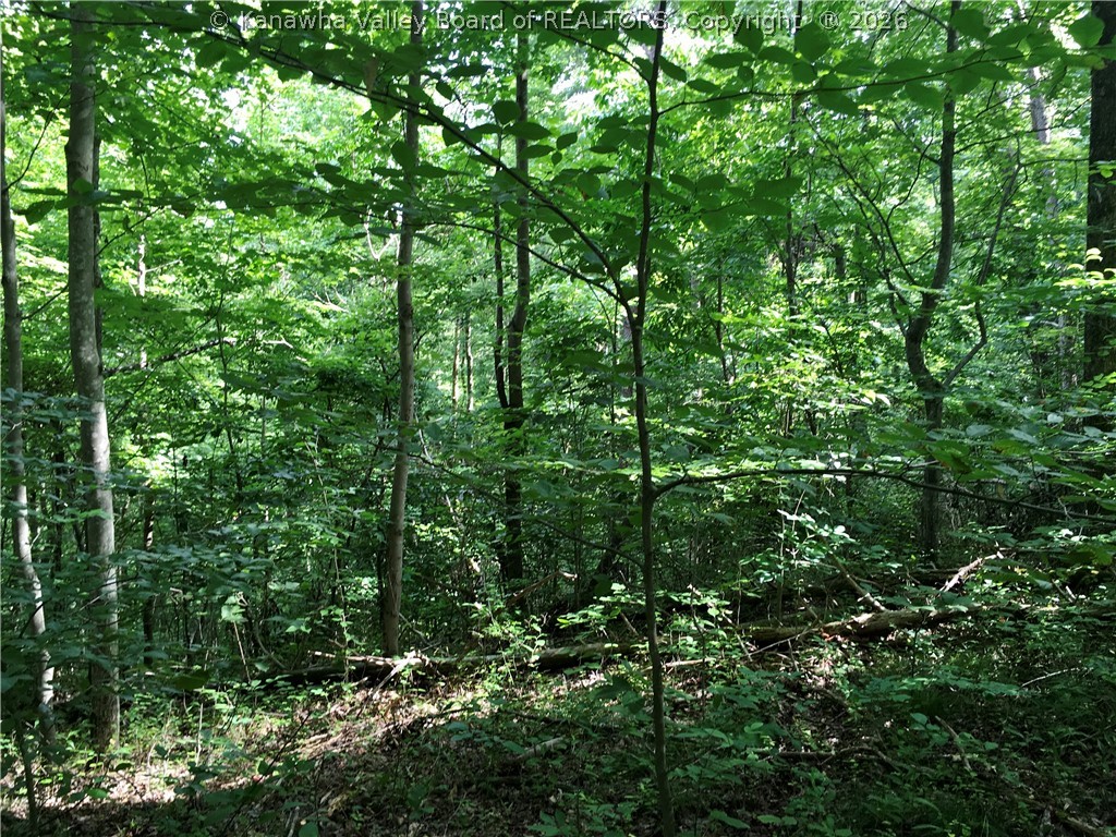 3001 Spicewood Road Kenna, WV 25248 - Photo 41 of 44 Gallery Image 41