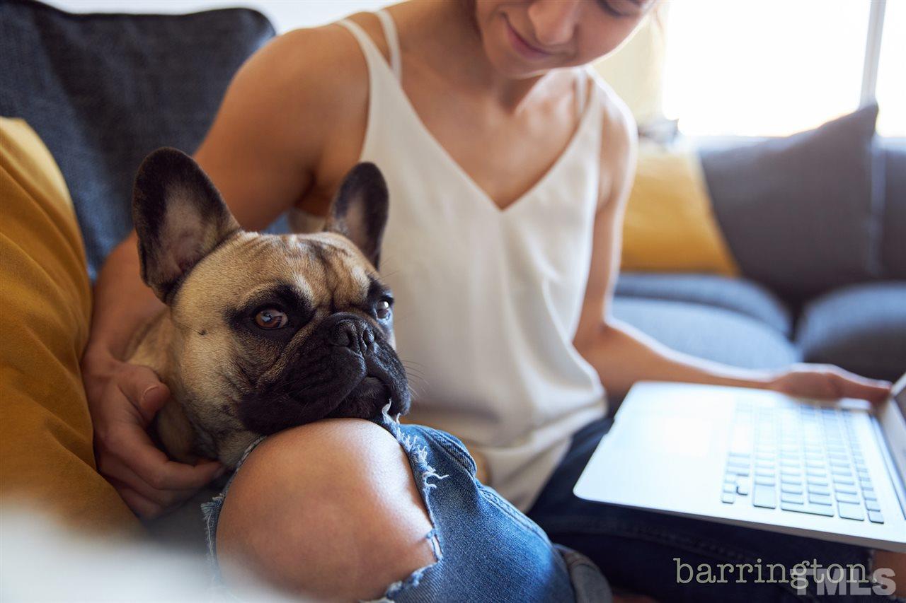 705 Hadstock Path Zebulon, NC 27597 - Photo 10 of 10