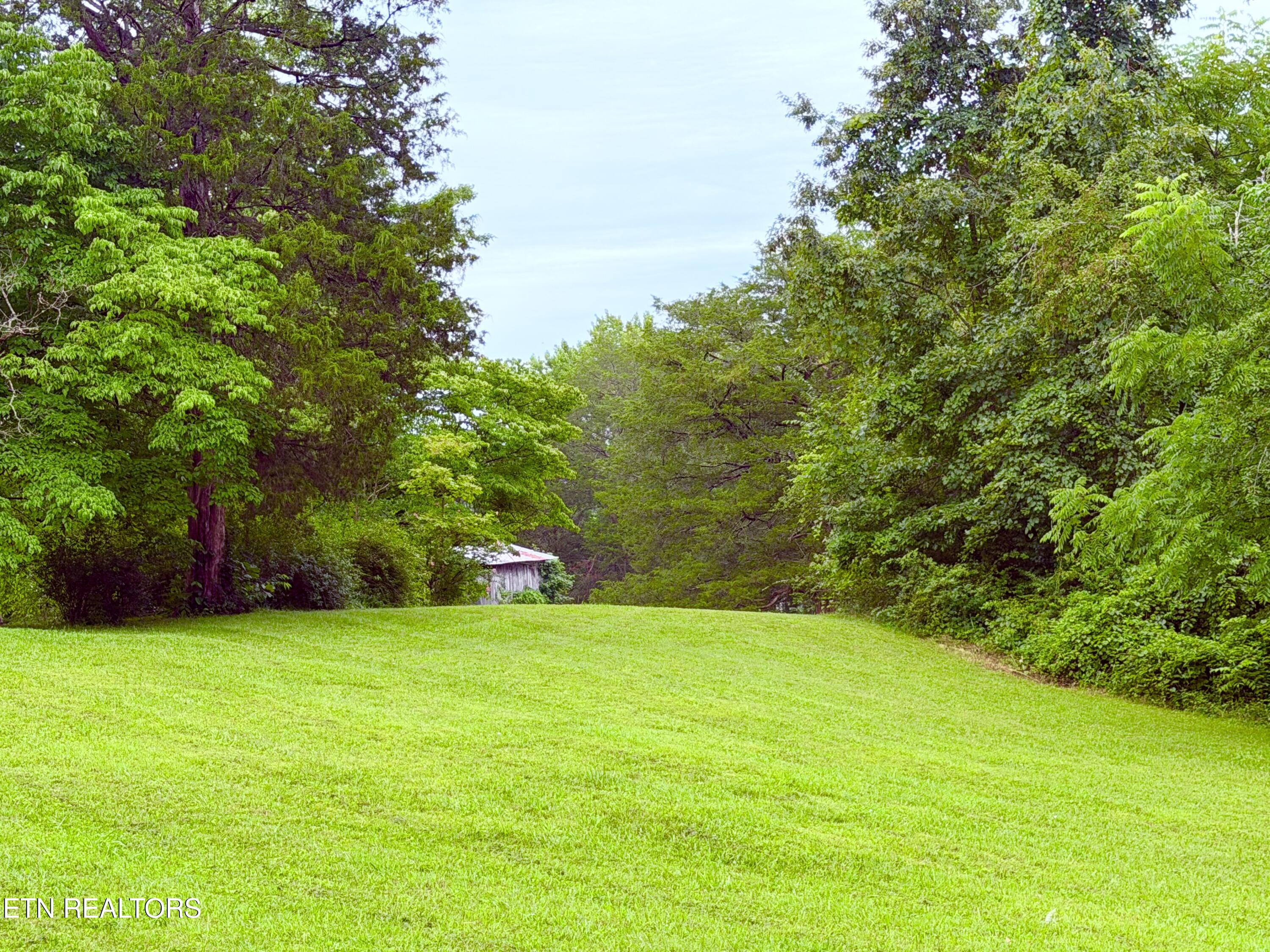 371 Pinecrest Road Jacksboro, TN 37757 - Photo 35 of 48 IMG_3310