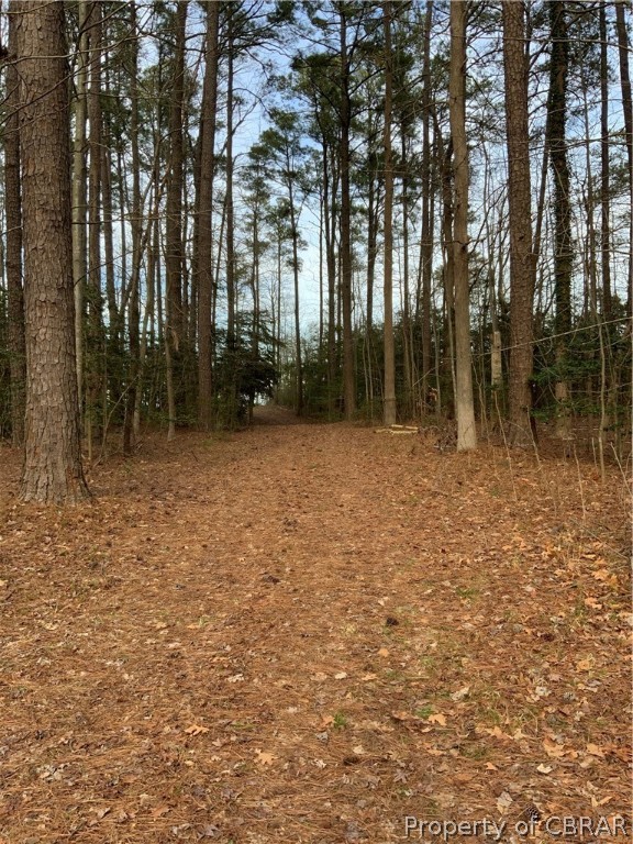 Lot 1 Neumans Road Heathsville, VA 22473 - Photo 2 of 11