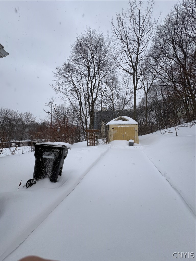 148 Culbert Street Syracuse, NY 13208 - Photo 20 of 21 Back yard