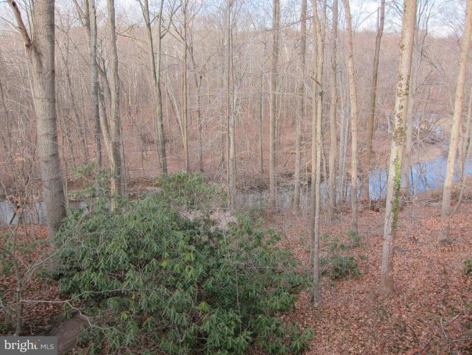 6509 Ridgeway Drive Springfield, VA 22150 - Photo 12 of 12 Looking to Accotink Creek and Parkland