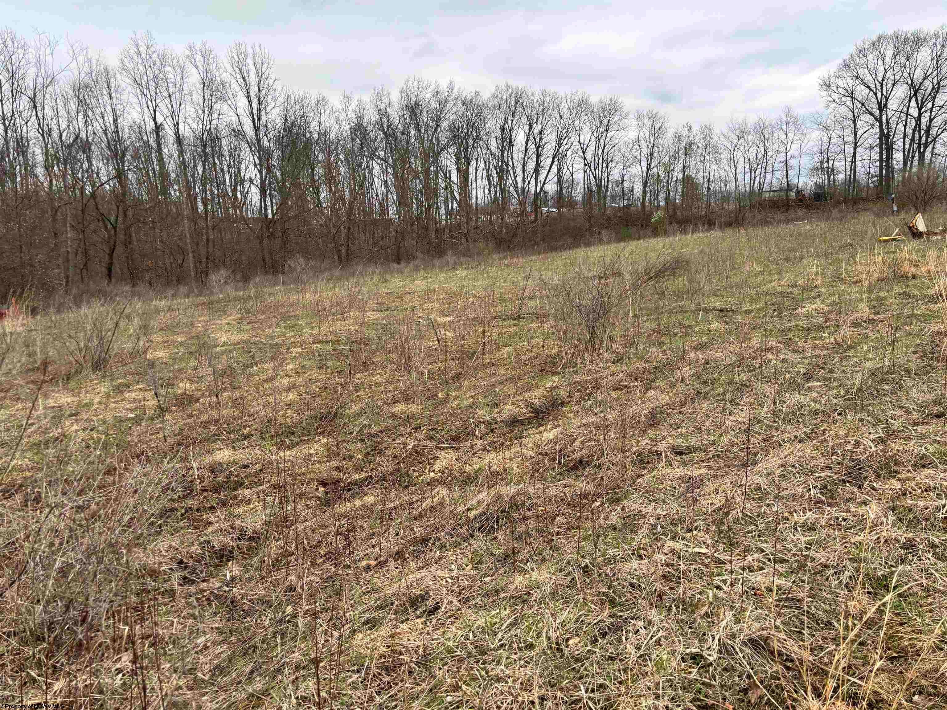 2965 Midway Road Belington, WV 26250 - Photo 4 of 10 Gallery Image 4