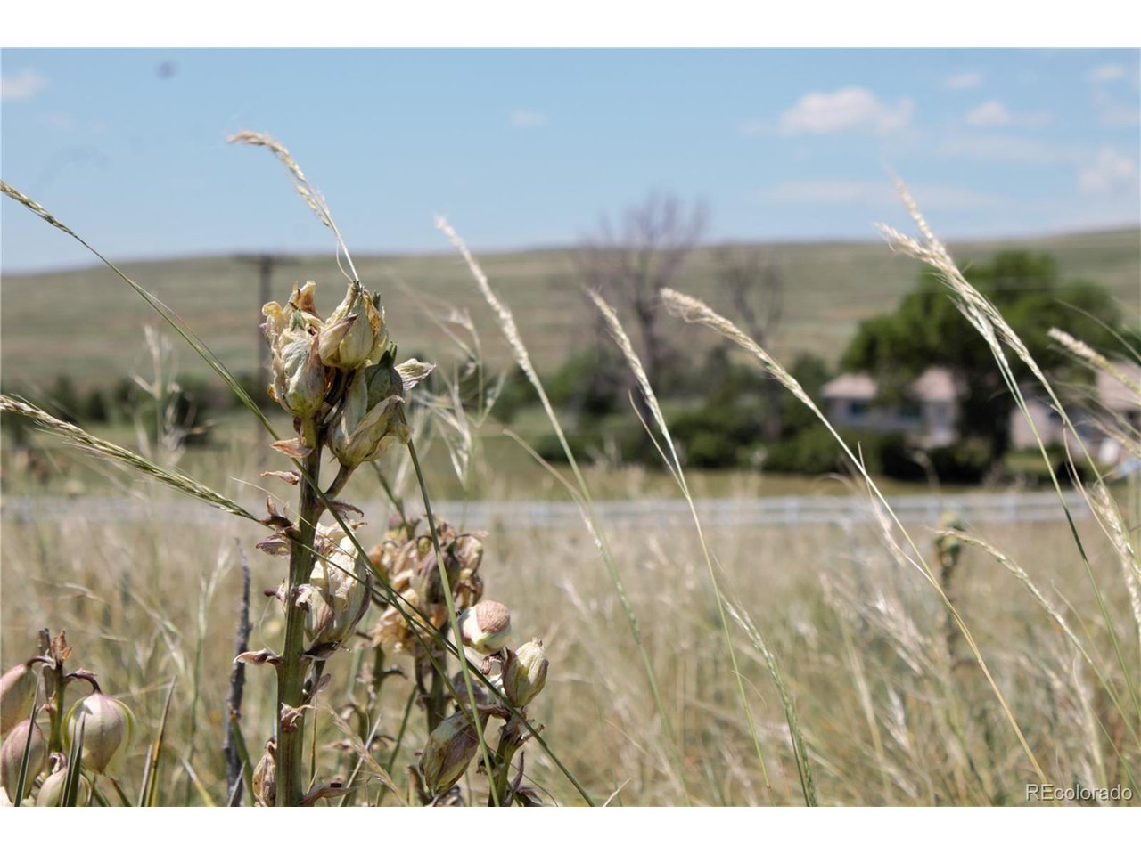 21 McClelland Road Calhan, CO 80808 - Photo 8 of 9