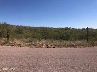 381 Del Court, Unit 16 Rio Rico, AZ 85648 - Photo 10 of 12